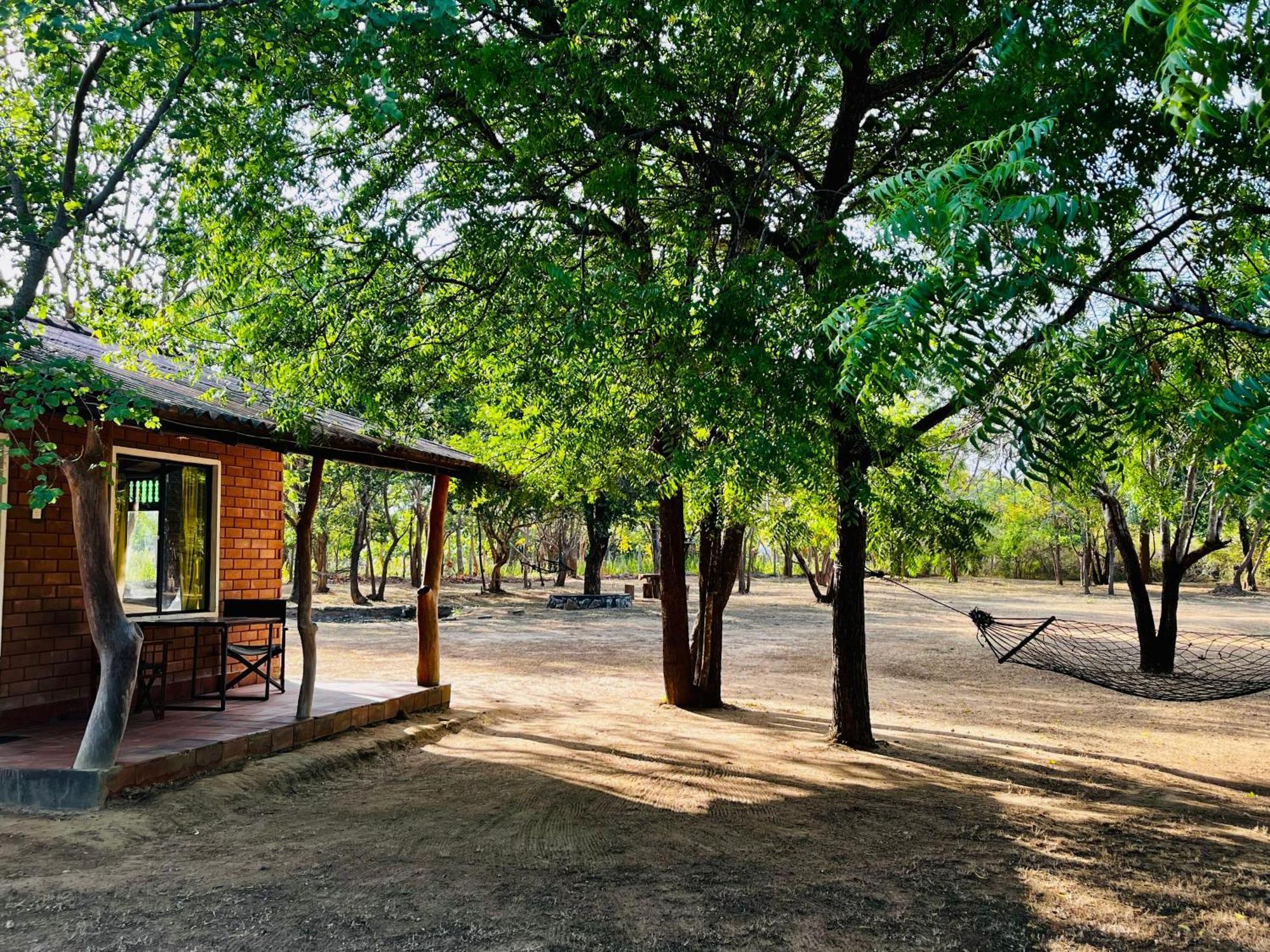 Funky Leopard Safari Lodge Bordering Yala National Park กตรคาม ภายนอก รูปภาพ