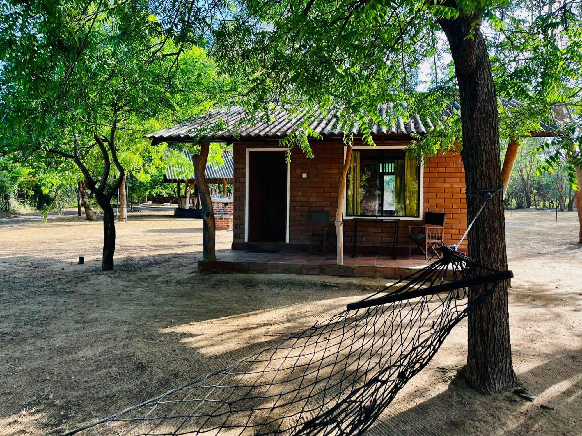 Funky Leopard Safari Lodge Bordering Yala National Park กตรคาม ภายนอก รูปภาพ
